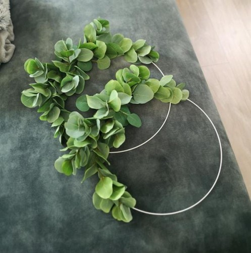 Koła-z-eukaliptusem