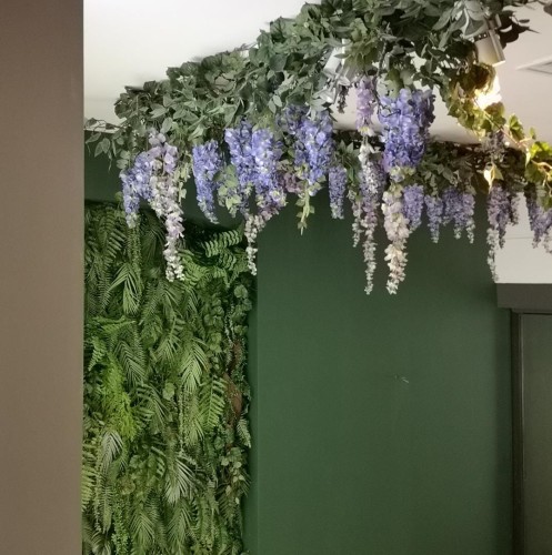 Zielona giranda z wisterii